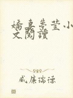 娇妻梦莹小说全文阅读