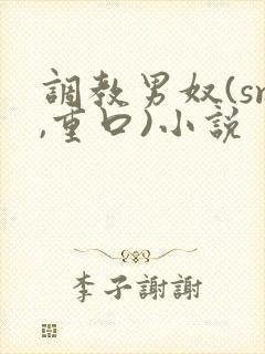 调教男奴(sm,重口)小说封面