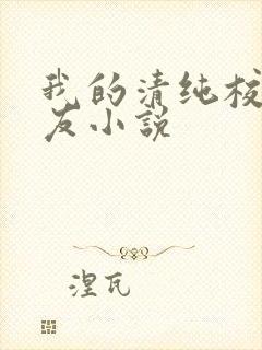 我的清纯校花女友小说