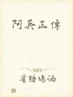 阿兵正传封面