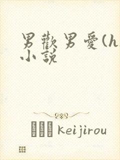 男欢男爱(h)小说