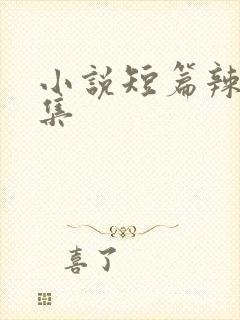 小说短篇辣文合集