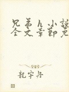 兄弟 h 小说全文章节免费阅读np