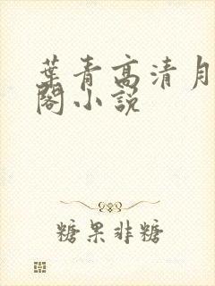 叶青高清月笔趣阁小说