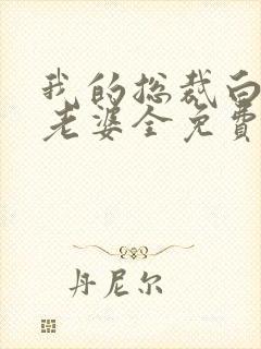 我的总裁白富美老婆全免费的小说封面