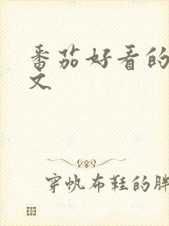 番茄好看的末世文