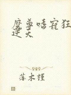 魔尊嗜宠狂妃狠逆天封面