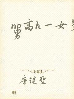 np高h一女多男