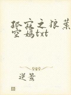 孤寂之狼叶凡司空嫣txt