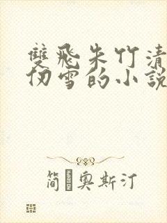 双飞朱竹清和千仞雪的小说