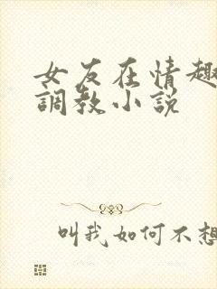 女友在情趣店被调教小说封面