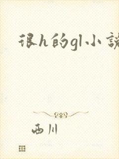 很h的gl小说