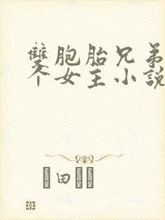 双胞胎兄弟和一个女主小说