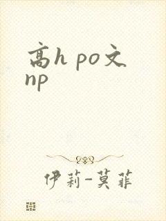 高h po文 np