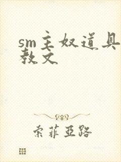 sm主奴道具调教文