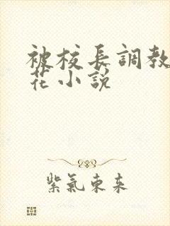 被校长调教的校花小说封面