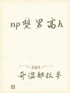 np双男高h