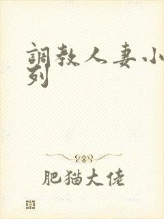 调教人妻小说系列