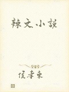 辣文小说