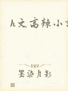 h文高辣小说封面