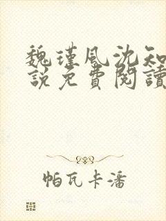 魏瑾风沈知玉小说免费阅读最新章节