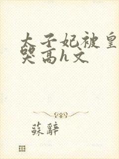 太子妃被皇上c哭高h文封面