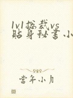 1v1总裁vs贴身秘书小说苏臣