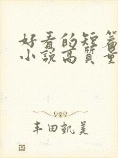 好看的短篇言情小说高质量文笔好