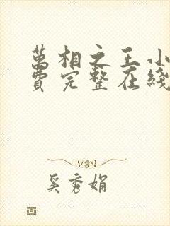 万相之王小说免费完整在线阅读封面