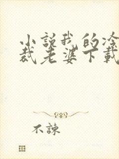 小说我的冷艳总裁老婆下载