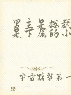 男主是总裁女主是下属的小说