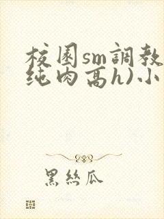 校园sm调教(纯肉高h)小说