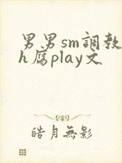 男男sm调教高h腐play文