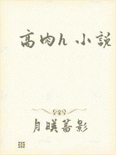 高肉h 小说