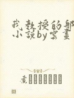 我教授的那些年小说by云昼