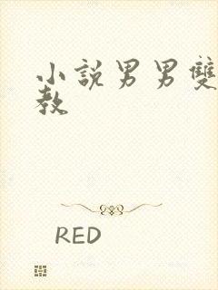小说男男双性调教