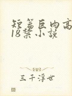 短篇巨肉高h文18禁小说