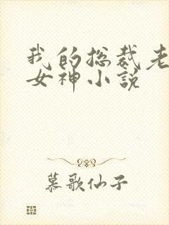 我的总裁老婆是女神小说