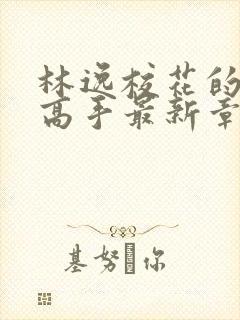 林逸校花的贴身高手最新章节8627封面