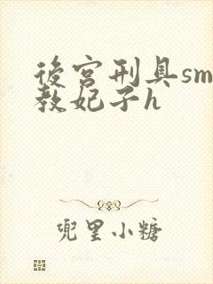 后宫刑具sm调教妃子h