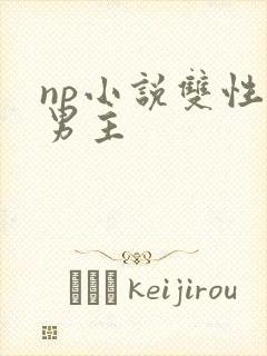 np小说双性双男主