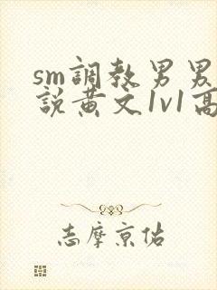 sm调教男男小说黄文1v1高h强制封面
