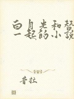 白月光和替身在一起的小说双男主