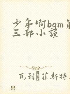 少年啊bgm第三部小说封面