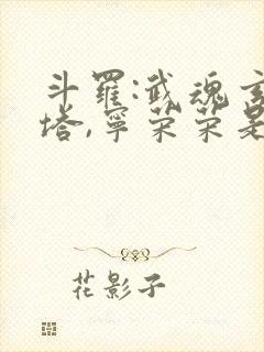 斗罗:武魂玄黄塔,宁荣荣是我妹