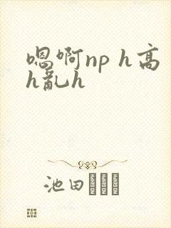 嗯啊np h高h乱h