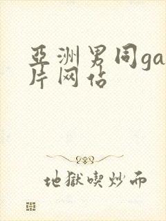 亚洲男同gay片网站