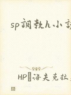 sp调教h小说
