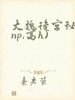 大魏后宫秘史(np,高h)