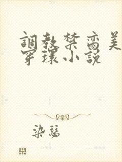 调教禁脔美人h穿环小说封面